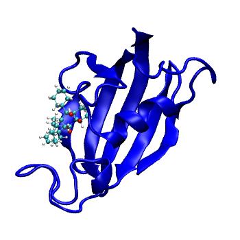 Structure preview of MDBind 1fkh
