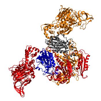 Structure preview of MDBind 3hfz