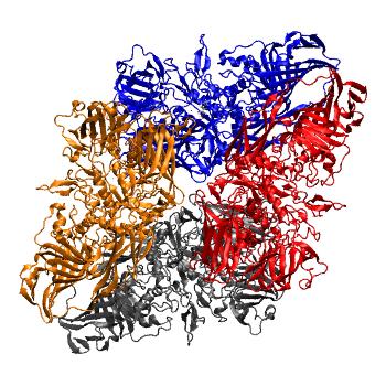 Structure preview of MDBind 3muz