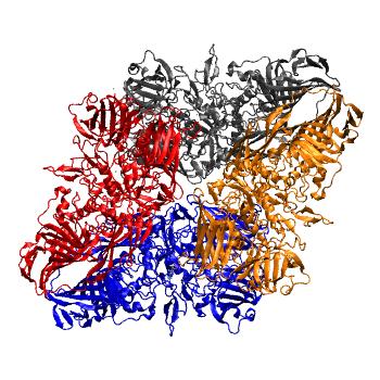 Structure preview of MDBind 3vd4