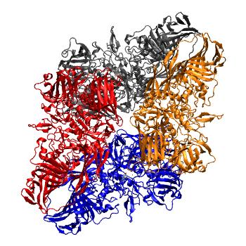 Structure preview of MDBind 3vdc
