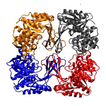 Structure preview of MDBind 3ump