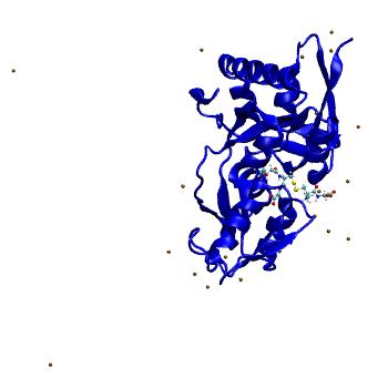 Structure preview of MDBind 4c0r