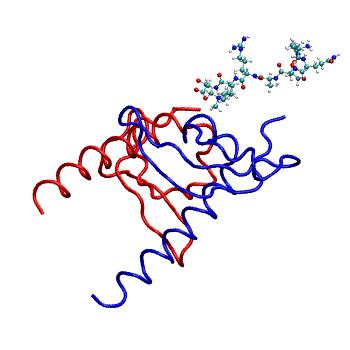 Structure preview of MDBind 4u68