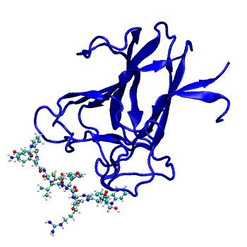 Structure preview of MDBind 5jr2