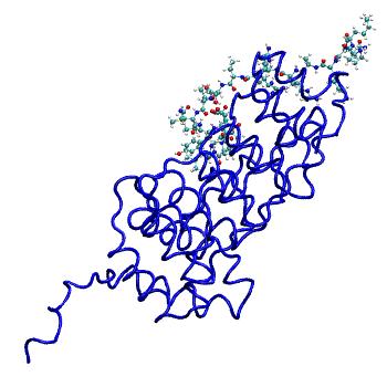 Structure preview of MDBind 5ybe
