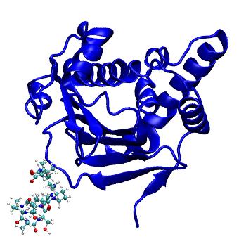 Structure preview of MDBind 6el5