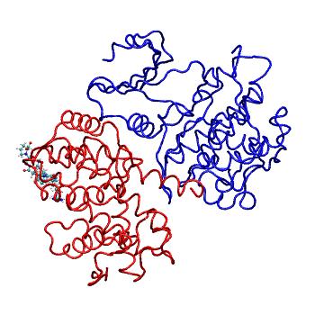 Structure preview of MDBind 1h27 2