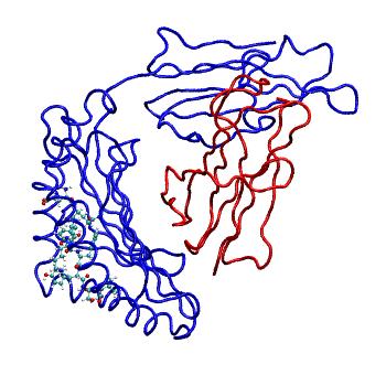 Structure preview of MDBind 1leg 2