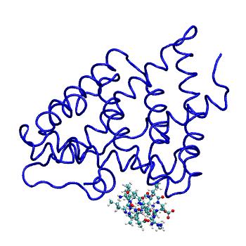 Structure preview of MDBind 1osv 2