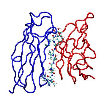 Structure preview of MDBind 2w0p 2
