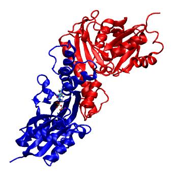 Structure preview of MDBind 3bf1 2