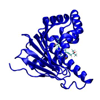 Structure preview of MDBind 3nmq 2