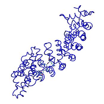 Structure preview of MDBind 4b8p 1