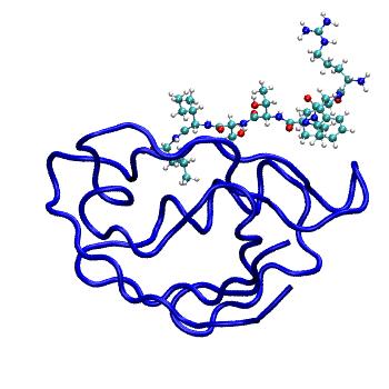 Structure preview of MDBind 4e35 1