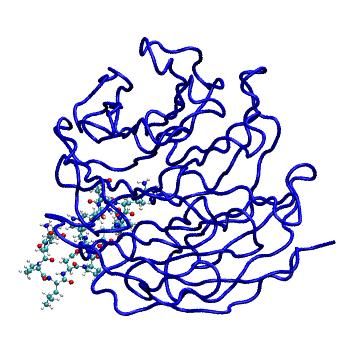 Structure preview of MDBind 4esg 1