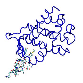 Structure preview of MDBind 4oyk 2