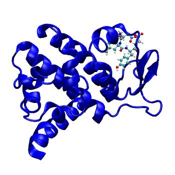 Structure preview of MDBind 4p0a 1