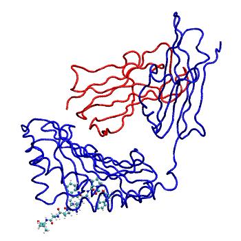 Structure preview of MDBind 4pgb 1