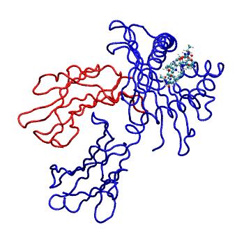 Structure preview of MDBind 4pge 1