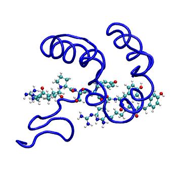 Structure preview of MDBind 4x3h 1