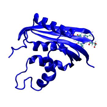 Structure preview of MDBind 4z0u 1