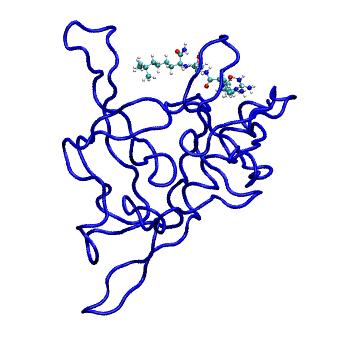 Structure preview of MDBind 5c0m 1
