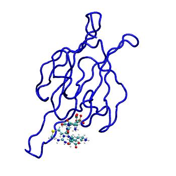 Structure preview of MDBind 6ar2 1