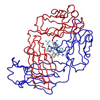 Structure preview of MDBind 6ayn 1