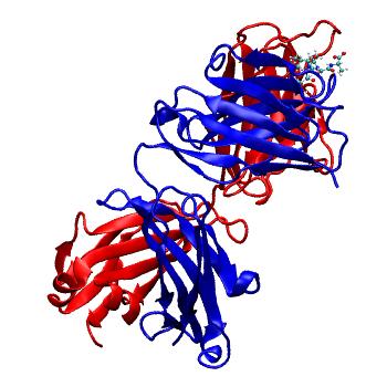 Structure preview of MDBind 6cdm 1