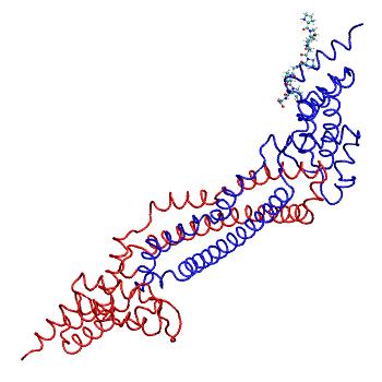 Structure preview of MDBind 4bt9 3