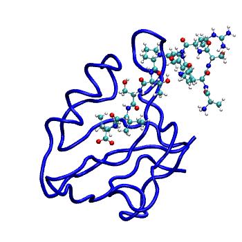 Structure preview of MDBind 4e34 2