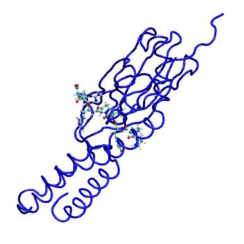 Structure preview of MDBind 4ezo 2