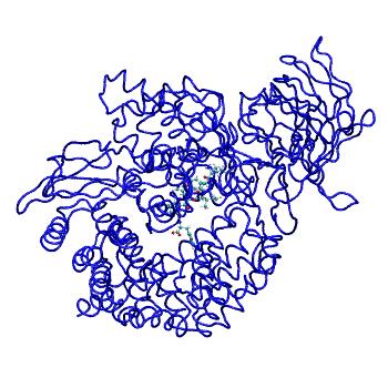 Structure preview of MDBind 4fys 2