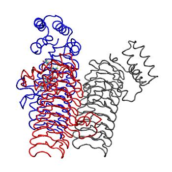 Structure preview of MDBind 4j09 2