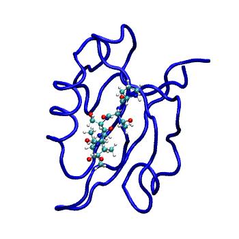 Structure preview of MDBind 4joh 2