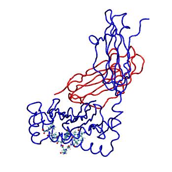 Structure preview of MDBind 4pgc 2