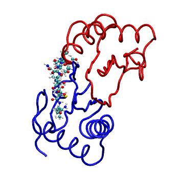 Structure preview of MDBind 4qh8 2