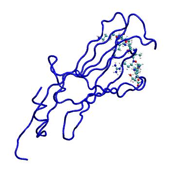 Structure preview of MDBind 4tmp 2