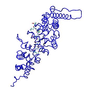 Structure preview of MDBind 4yk6 2