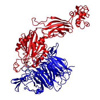 Structure preview of MDBind 4z7n 3