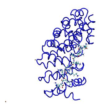 Structure preview of MDBind 5aei 2