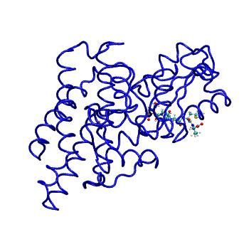 Structure preview of MDBind 5axi 2