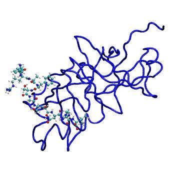 Structure preview of MDBind 5b6c 2