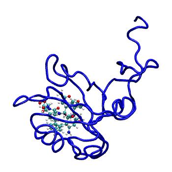Structure preview of MDBind 5hfc 2