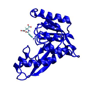 Structure preview of MDBind 5j9f 2