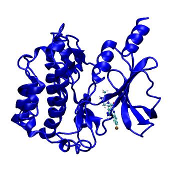 Structure preview of MDBind 5xva 2