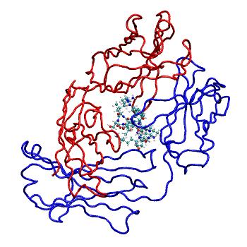 Structure preview of MDBind 6ayn 2