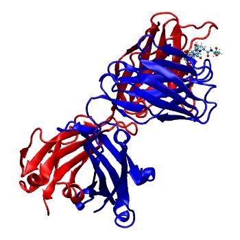 Structure preview of MDBind 6cdm 2