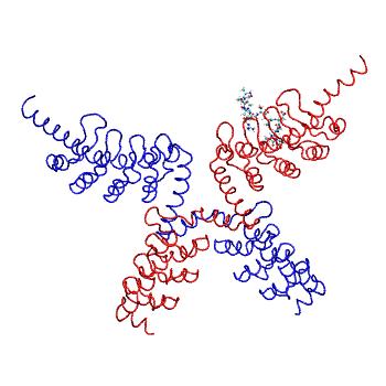 Structure preview of MDBind 6cf6 2